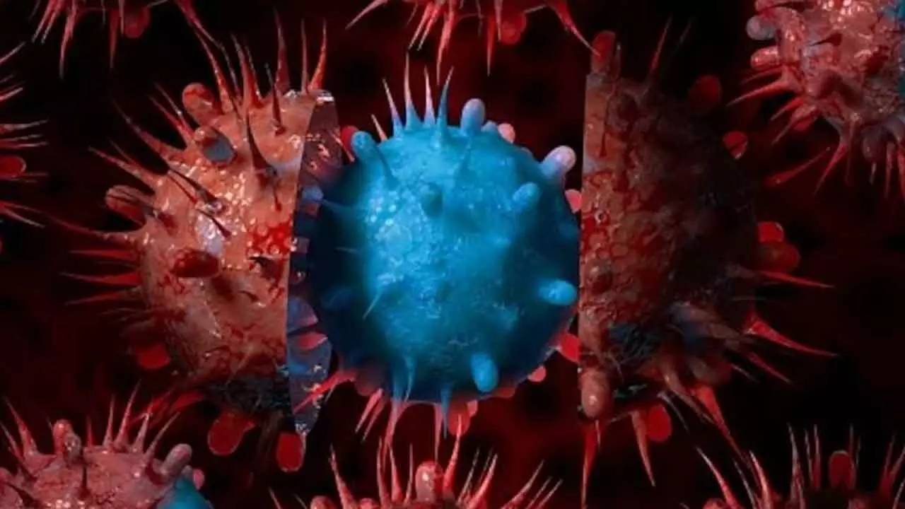 New Covid variant XFG detected in 163 cases New Covid variant XFG detected in 163 cases