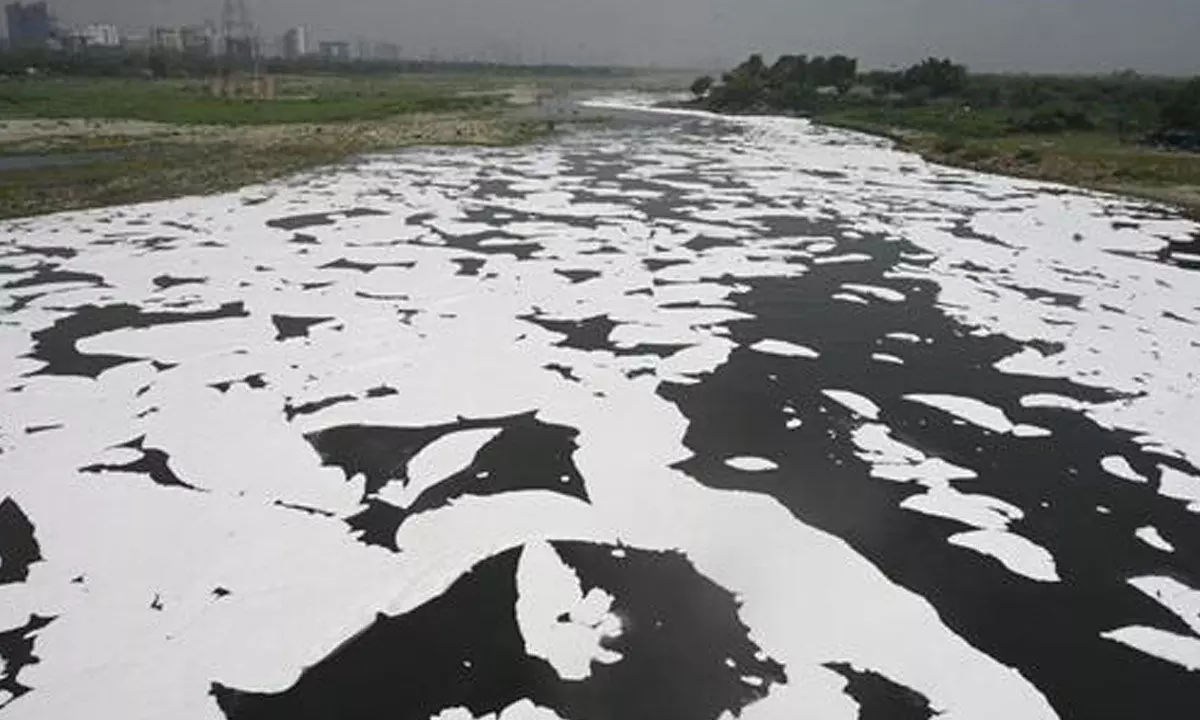 Yamuna revival tops Delhi govt’s agenda Yamuna revival tops Delhi govt’s agenda