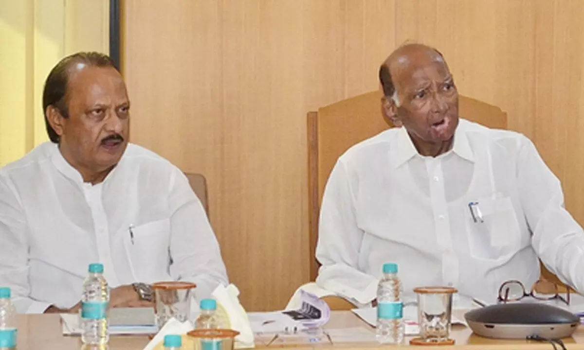 On Foundation Day, NCP factions showcasing respective strengths