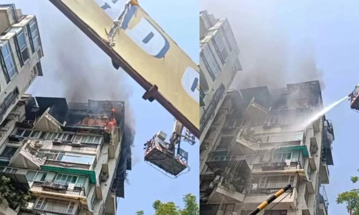 Father And Twin Children Perish In Desperate Escape From Delhi High-Rise Blaze Father And Twin Children Perish In Desperate Escape From Delhi High-Rise Blaze