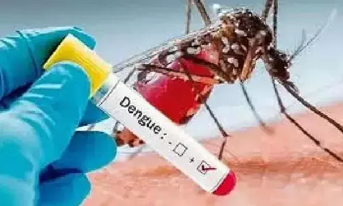 Dengue threat rises in coastal Karnataka