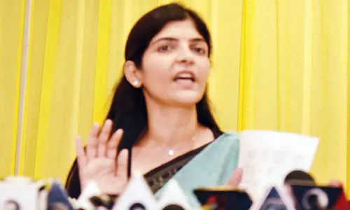 Women’s panel slams ‘dehumanising’ media analysis