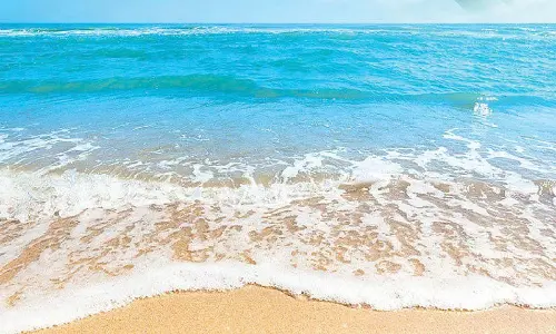 Let us not choke oceans: Naveen