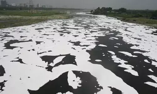 Yamuna revival tops Delhi govt’s agenda