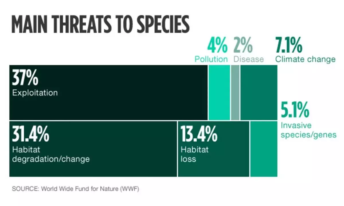 Livestock growth and decline of animal populations needs rethink