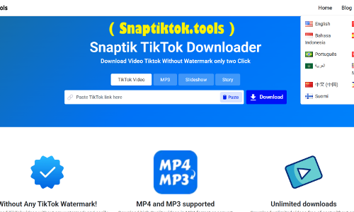TikTok Video Downloader Without Watermark