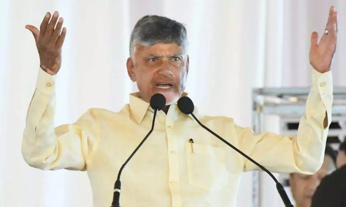 AP govt to celebrate first anniversary on a grand scale