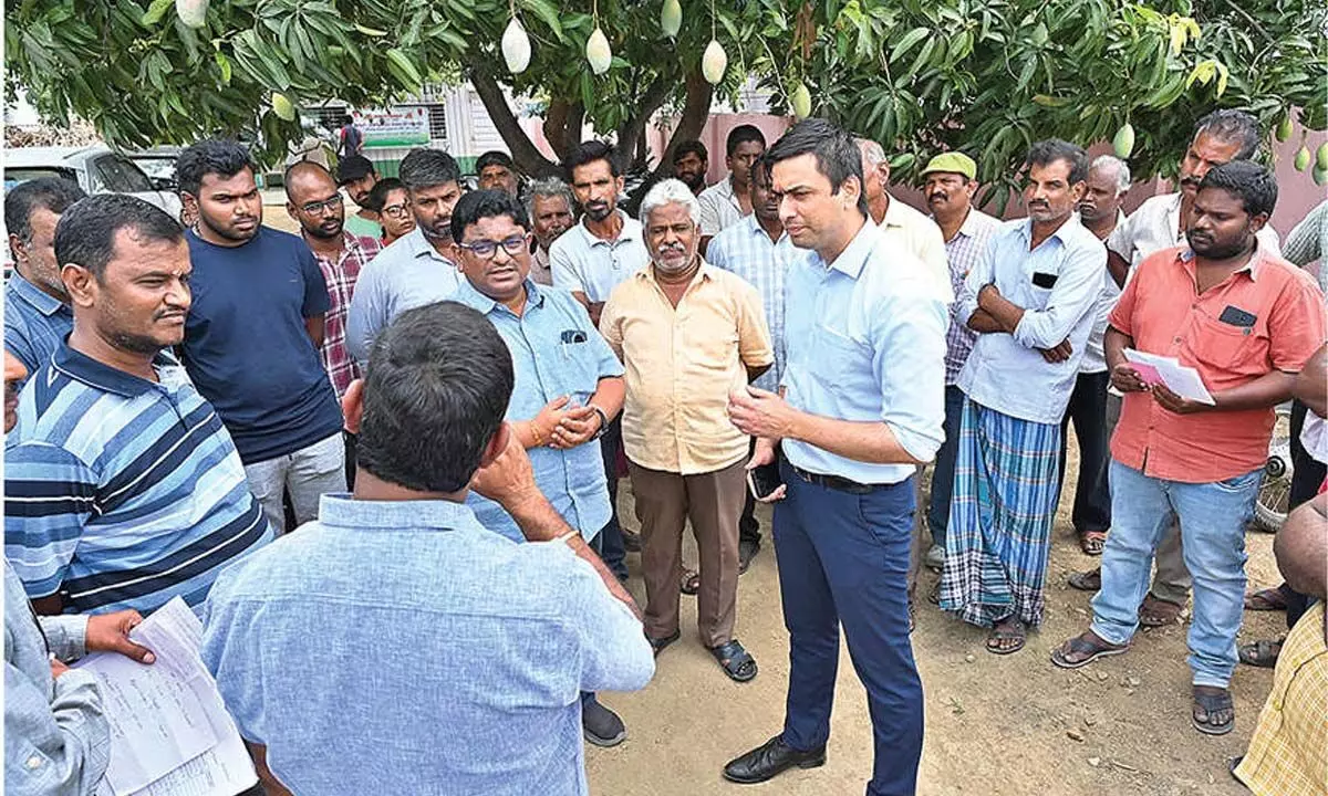 Ensure MSP for Totapuri mango farmers, Collector directs pulp units