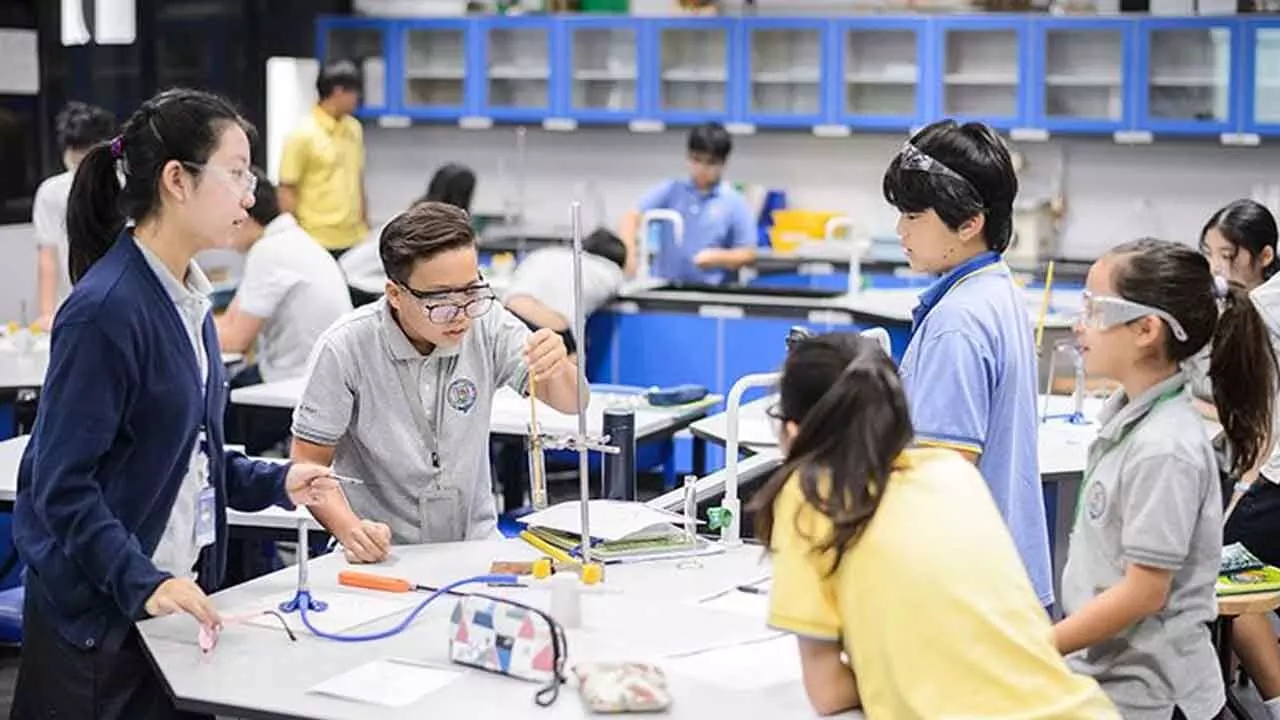 The rising demand for skill-based careers The rising demand for skill-based careers