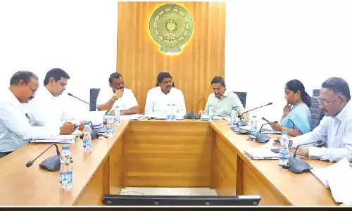 Prepare proposals for abolition of NALA Act: Cabinet sub-panel