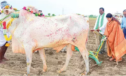 Farmers told to focus on improving yields