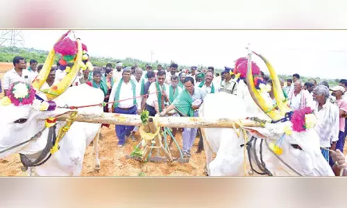 Agricultural season begins in Anantapur dist