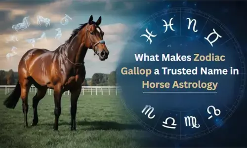 What Makes Zodiac Gallop a Trusted Name in Horse Astrology
