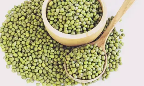 Centre okays purchase of moong from farmers under price support scheme