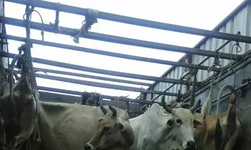 One dies in clash over cattle smuggling