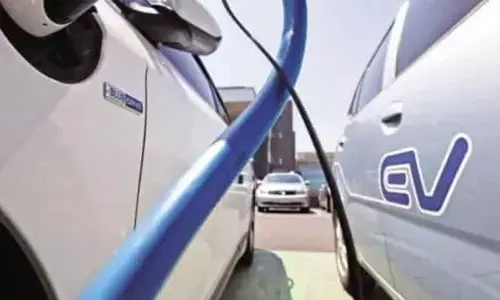 EV makers feel heat as China curbs supplies