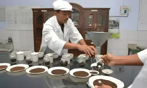 How to Decode Adulteration in Tea: What Every Consumer Should Know