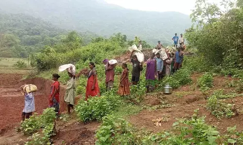 Tribals face ration access crisis amidst long treks, eKYC glitches