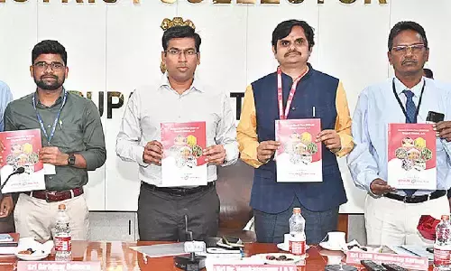 Banks told to sanction SHG loans via digital MCP