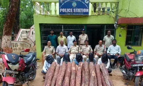 Red sander logs worth Rs 40L seized, five held