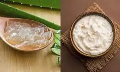 Aloe Vera vs Malai: Which Natural Ingredient Truly Enhances Your Glow?