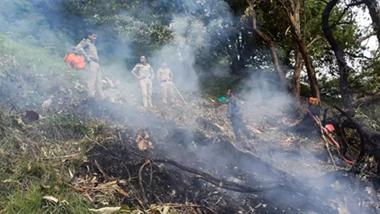 Sunday of Sorrows: Twin disasters in Uttarakhand, Maharashtra leave 11 dead Sunday of Sorrows: Twin disasters in Uttarakhand, Maharashtra leave 11 dead