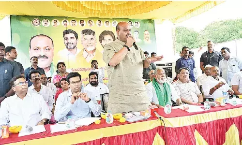 Govt to release Rs 168 cr subsidy for mango farmers