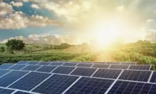 Below ₹1, KBC Global bets big on solar energy; To be in focus on Monday