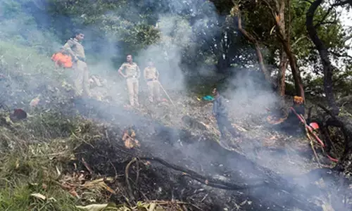 Sunday of Sorrows: Twin disasters in Uttarakhand, Maharashtra leave 11 dead