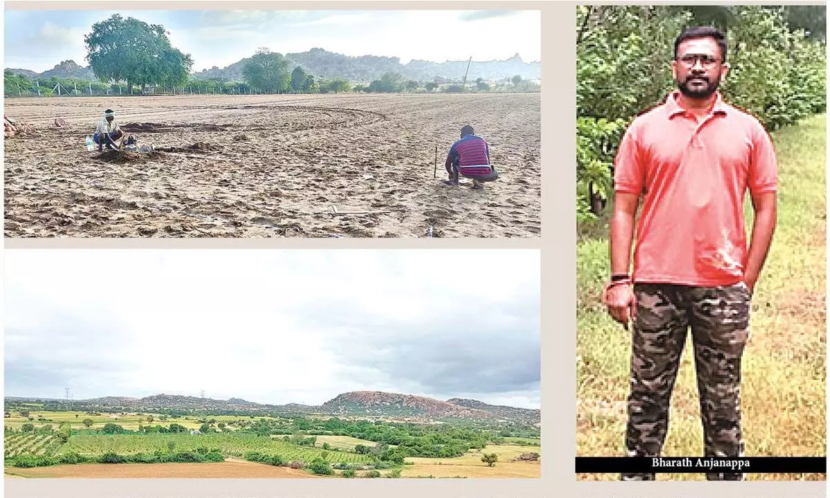 Graduate farmer turns barren land into thriving orchard