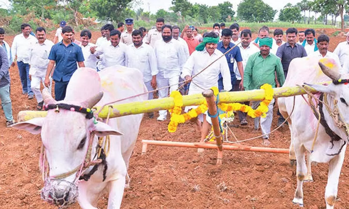 Ponguleti ploughs field, extends erukava greetings