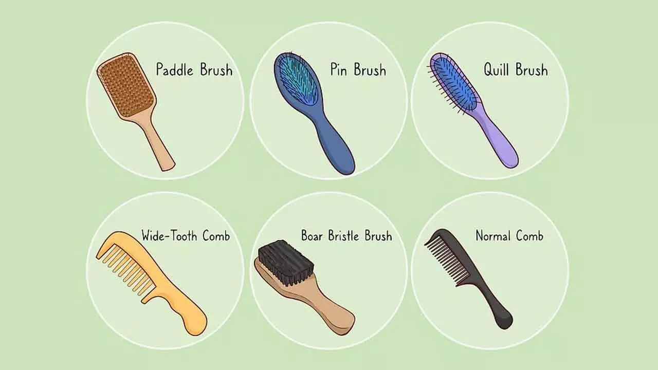 How to Choose the Right Hair Comb: Types for Every Hair Type How to Choose the Right Hair Comb: Types for Every Hair Type