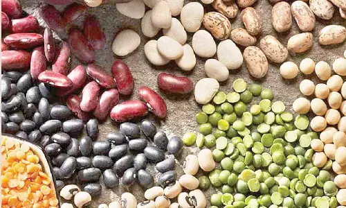 Fermenting legumes, pulses can boost antioxidant, antidiabetic properties: Study