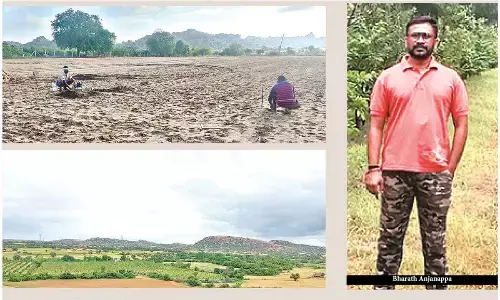 Graduate farmer turns barren land into thriving orchard