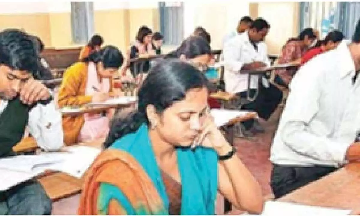 95.11% appear for mega DSC (Non Language) exam 95.11% appear for mega DSC (Non Language) exam