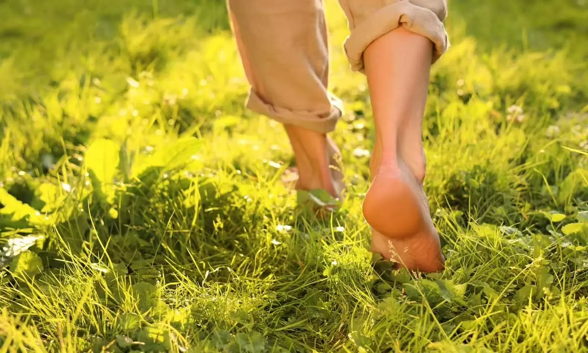 Start Your Day Right: 10-Minute Barefoot Walk on Grass Offers Surprising Health Benefits Start Your Day Right: 10-Minute Barefoot Walk on Grass Offers Surprising Health Benefits