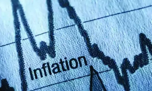 WPI Inflation dips to 0.39% in May