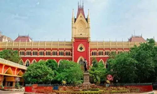 Calcutta HC to pass interim order today on plea challenging Mamata govts fresh OBC survey pattern