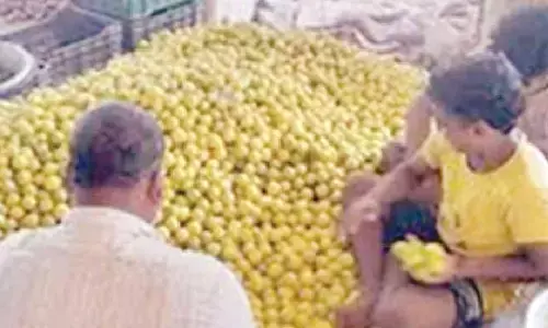 Lemon farmers hit though sales soar