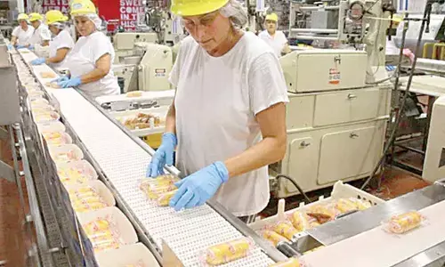 Govt slashes UDA fees to boost food processing sector