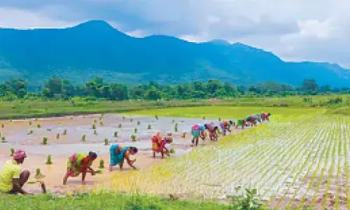 Kharif crop crosses 89 L hectares