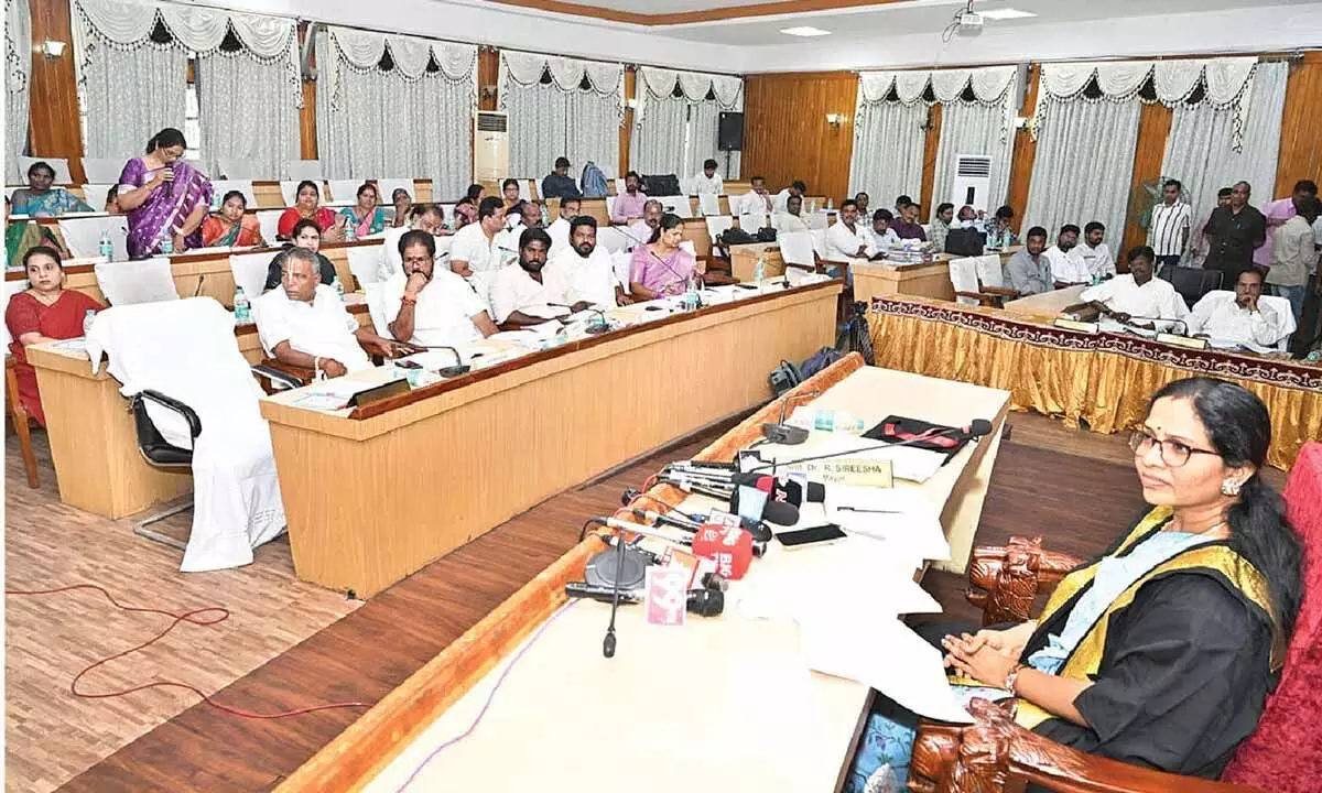 Ruckus rocks council meeting Ruckus rocks council meeting