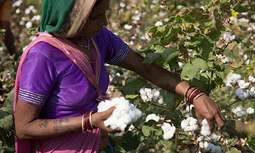 Awareness prog on modern cotton farming practices held