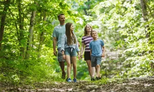 World Sauntering Day: The power of a slow walk - Rediscovering joy with simple steps