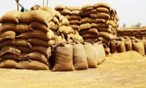 Wheat procurement in UP crosses 10.27 lakh metric tonnes in 2025–26