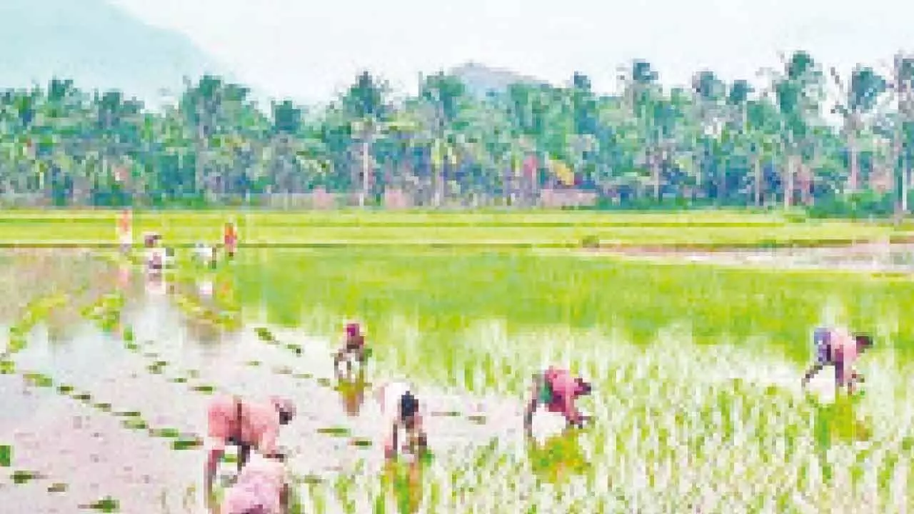 Corporate biggies calling the shots in farm sector: AIKS Corporate biggies calling the shots in farm sector: AIKS