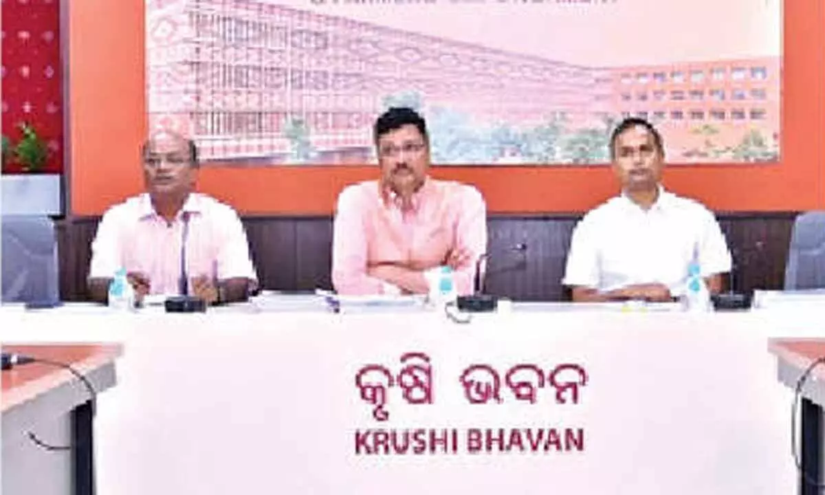 Traditional crop culture scheme unveiled Traditional crop culture scheme unveiled