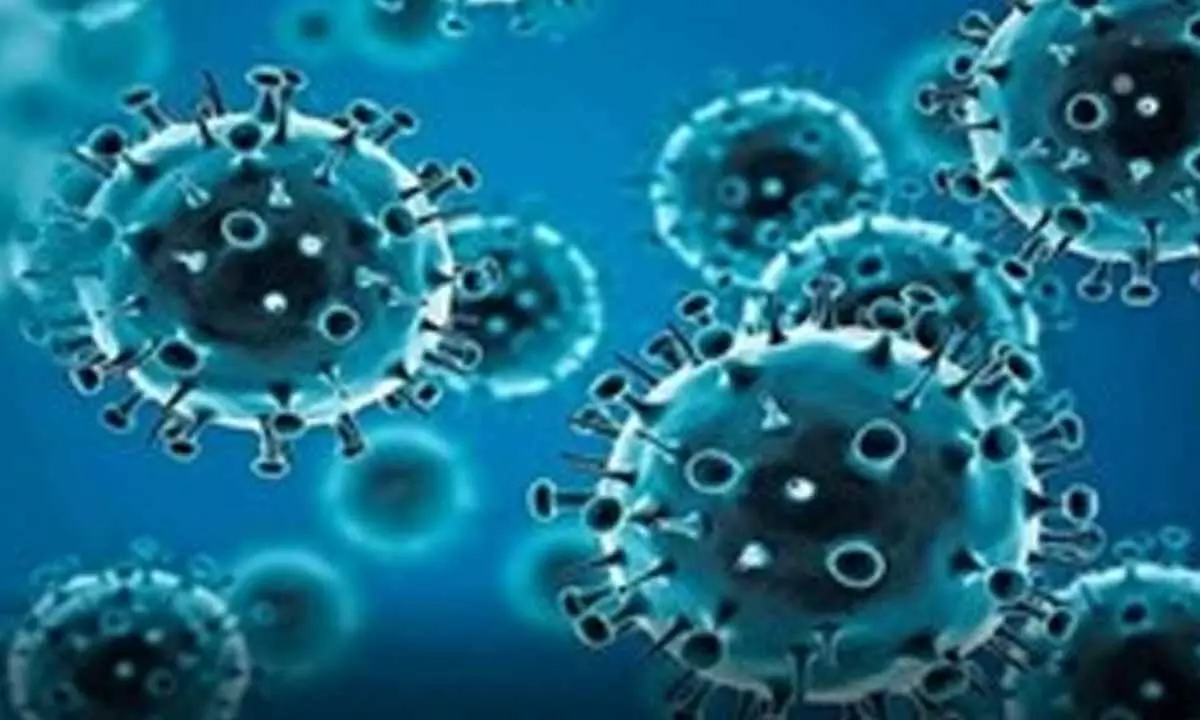 Airborne fungal spores may help predict Covid, flu surge: Study Airborne fungal spores may help predict Covid, flu surge: Study