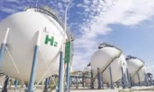 Govt urged to unlock green Hydrogen demand