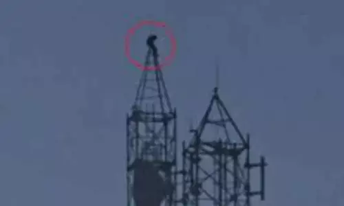Lovesick man climbs atop telecom tower
